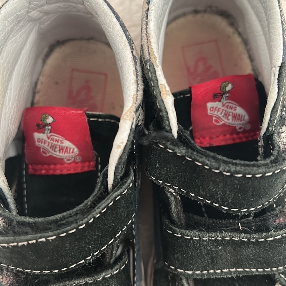 Vans - Picture 6 of 6